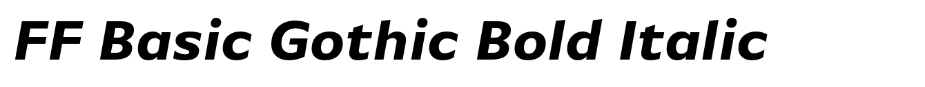 FF Basic Gothic Bold Italic image
